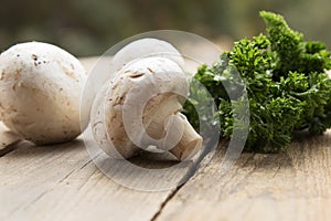 Mushrooms with vegetables on a wooden background.