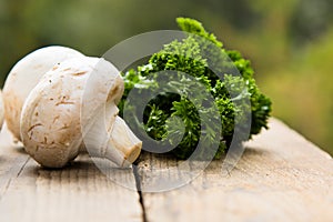 Mushrooms with vegetables on a wooden background.