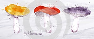 Mushrooms watercolor photo