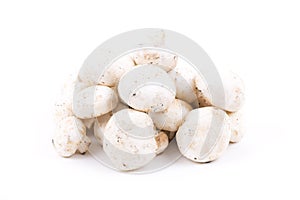 Mushrooms on a white background