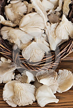 Mushrooms in wicker basket