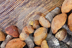 Mushrooms on a wooden background