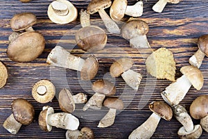 Mushrooms on a wooden background