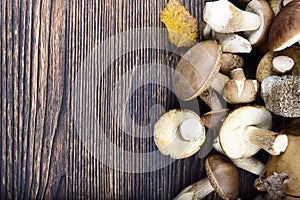 Mushrooms on a wooden background