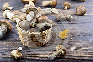 Mushrooms on a wooden background