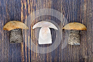 Mushrooms on a wooden background