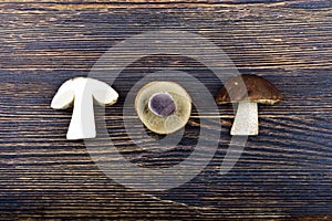 Mushrooms on a wooden background