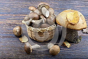 Mushrooms on a wooden background