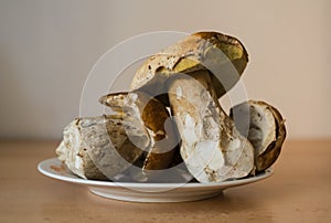 Mushroons on plate