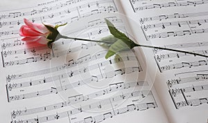 Music abd flower