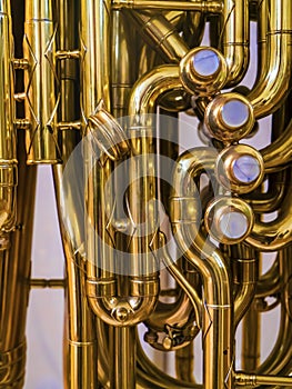 Music. Brasswind instrument Alto horn.