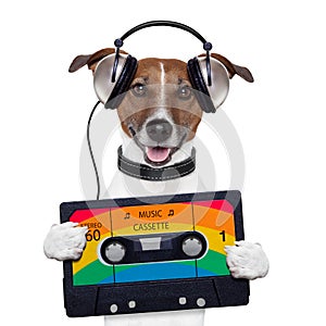 Music cassette tape headphone dog