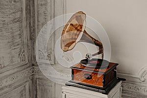 Music device. Old gramophone with plate or vinyl disk on wooden box. Antique brass record player. Gramophone with horn speaker. Re