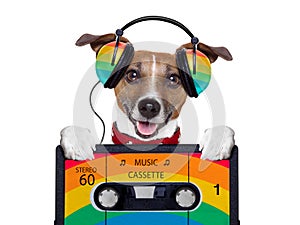 Music dog