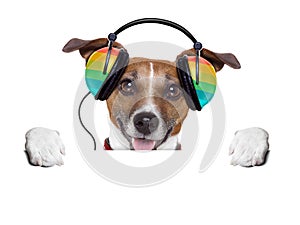 Music dog