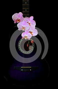 Music and flowers concept with a acoustic guitar and pink orchids