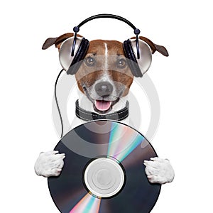 Music headphone cd dog