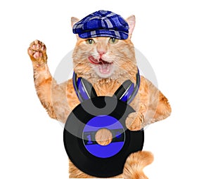 Music headphone vinyl record cat.