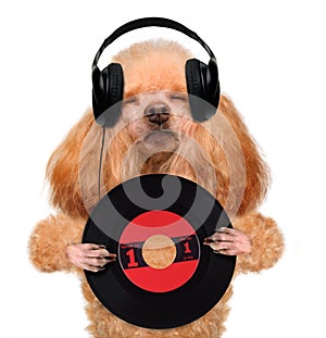 Music headphone vinyl record dog