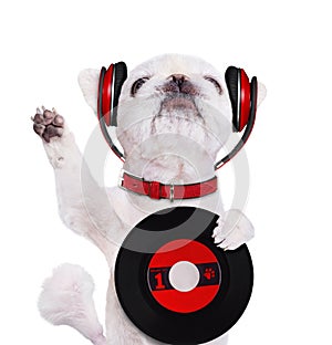 Music headphone vinyl record dog.