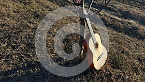 Music instrument guitar leaning on the tree