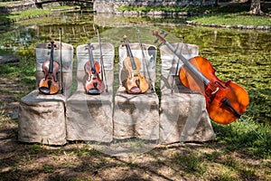 Music instruments in nature