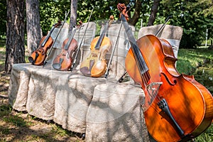 Music instruments in nature