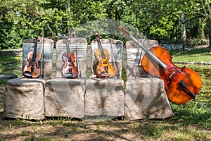 Music instruments in nature