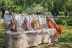 Music instruments in nature