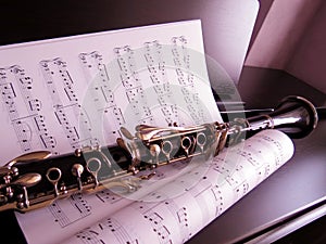 Music Lessons on the Clarinet