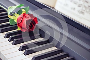 Music and love concept.Red rose on piano keyboard