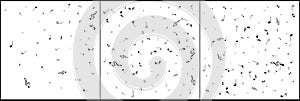 Music notes. Mensural musical notation. Black notes symbols. Note value. Music staff photo
