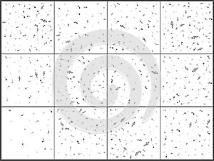 Music notes. Mensural musical notation. Black notes symbols. Note value. Music staff. Set 12 in 1 photo