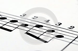 Music notes score background