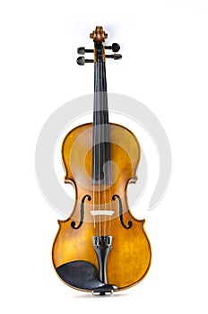 Music string instrument violin isolated on white