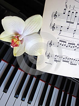 Musical background, piano keys with notes