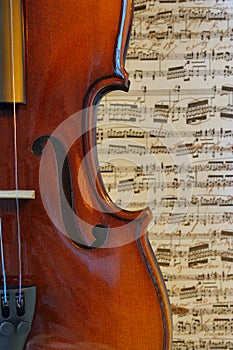 Musical Curves