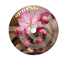 Musical disk with a blossoming apple-tree on a cover