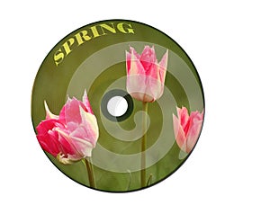 Musical disk with a pink tulips on a cover