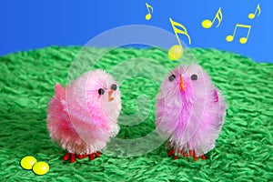 Musical Easter Chicks