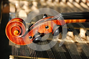 Musical instrument 4