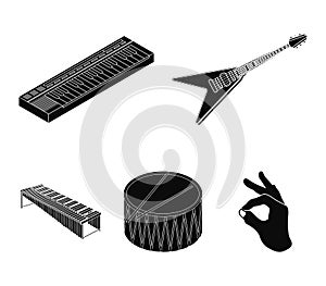 Musical instrument black icons in set collection for design. String and Wind instrument isometric vector symbol stock