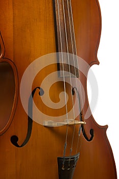 Musical instrument cello