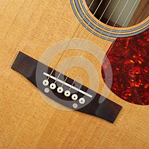 Musical instrument - Top view pickguard, bridge, pins and string