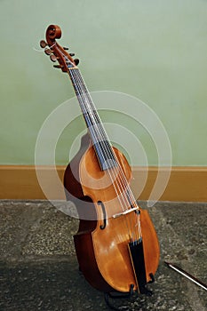 Musical instrument Viola de Gamba in instrument stand