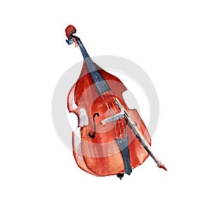 Musical instruments. Double bass. Isolated on white background.