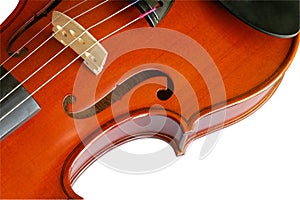 Musical instruments: violin