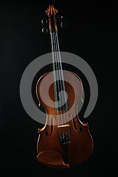 Musical instruments violin