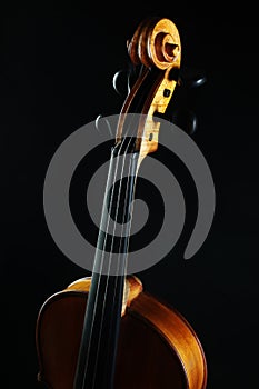 Musical instruments violin