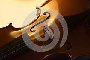 Musicale dispositivi violino da vicino (2 ) 